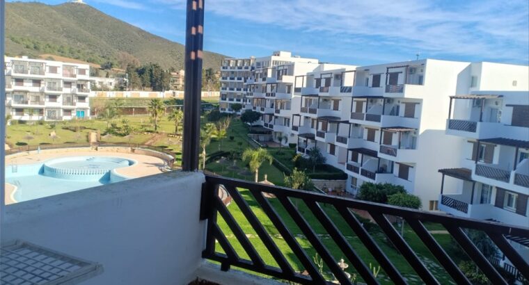 APPARTEMENT TOURISTIQUE VUE SUR PISCINE A VENDRE