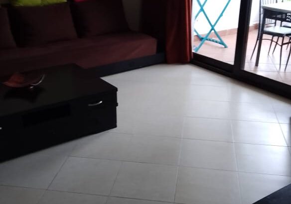 Appartement meuble et bien équipe a vendre a Bahia